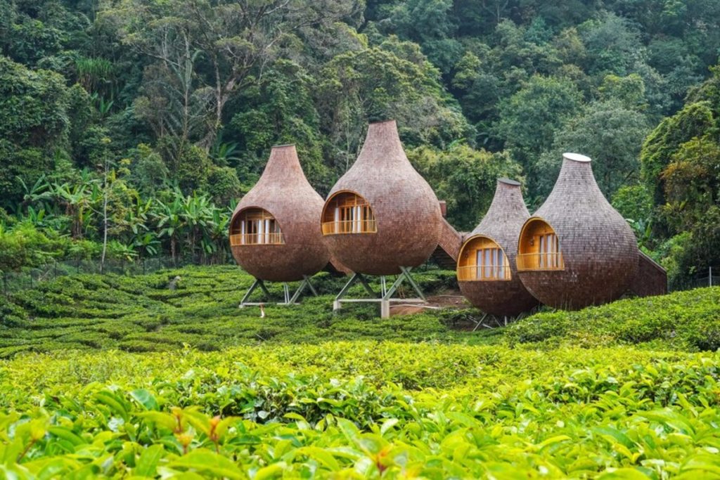 Wisata Alam di Bogor